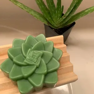 Succulent Shaped Aloe Soap